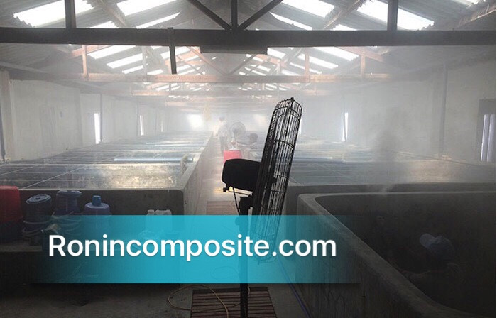 bọc composite bể nuôi thuỷ sản