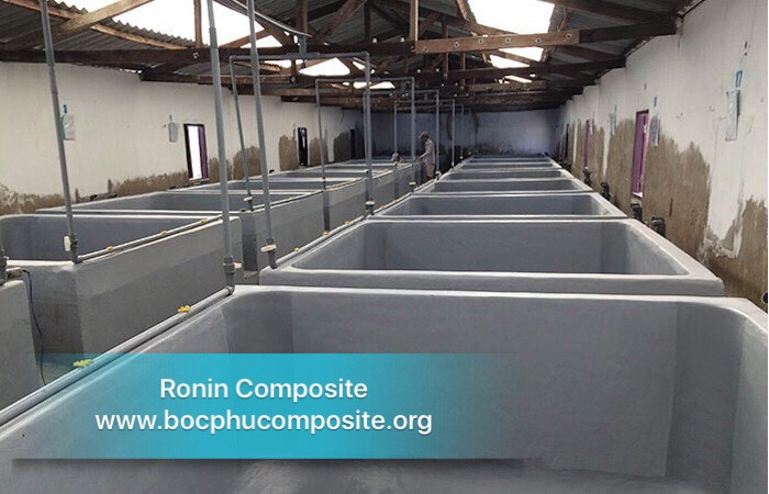 bọc composite bể nuôi thuỷ sản