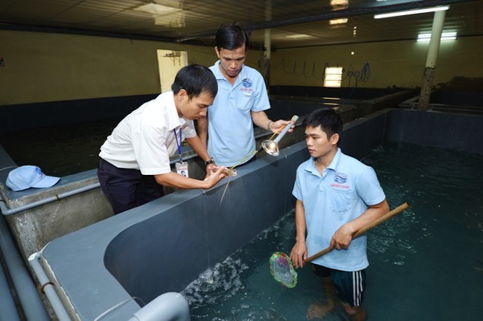 boc-composite-be-nuoi-thuy-san