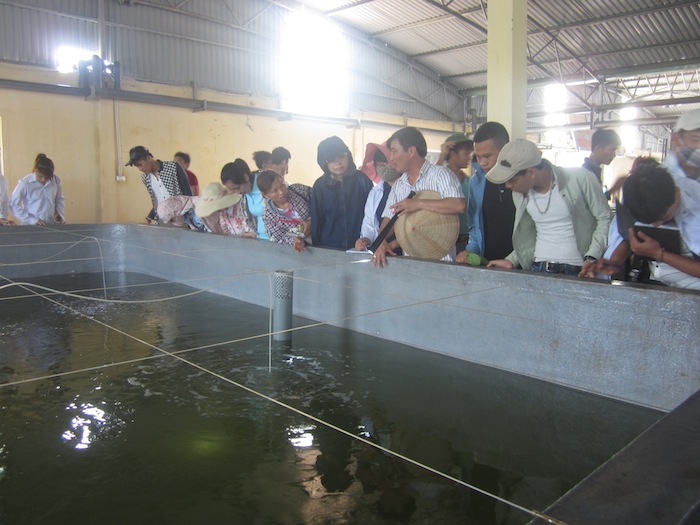 boc-composite-be-nuoi-thuy-san