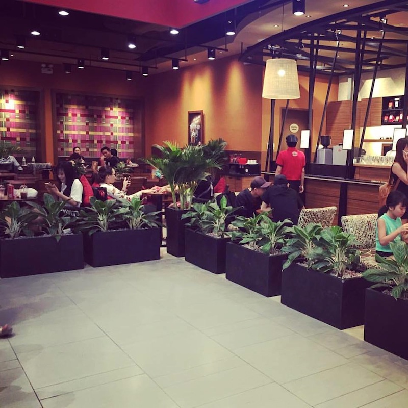 chậu hoa composite